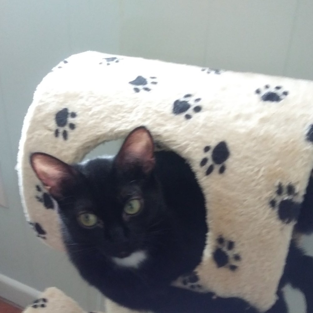 Meet your Posher, Gloria